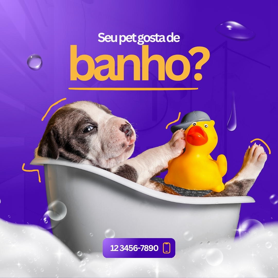 Imagem 6