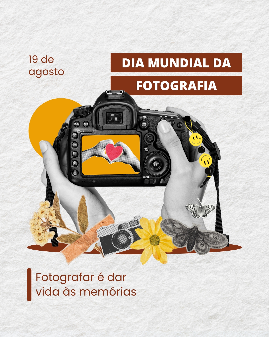 Imagem 6
