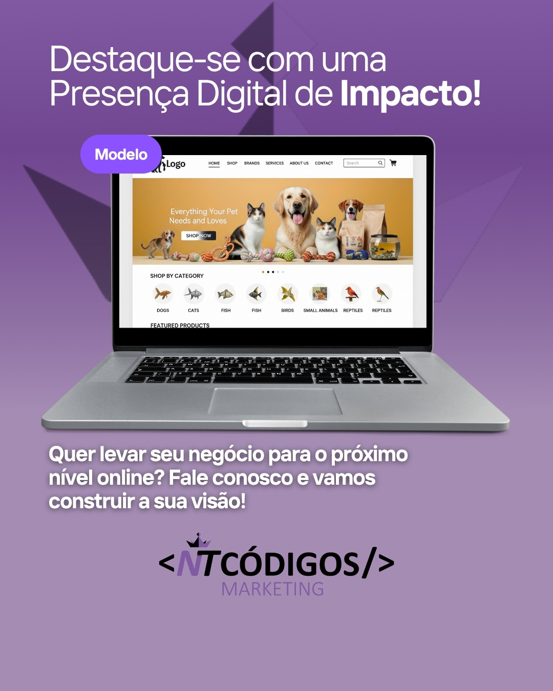 Imagem 3